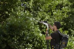 Stiga PH 900e Accu Heggenschaar Body Op Steel - 50cm - 34mm - Telescopisch -Gereedschapswinkel 6fd30dfc29883f8a9e357010ec685306