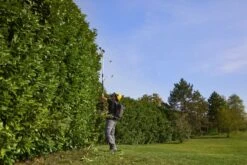 Stiga PH 900e Accu Heggenschaar Body Op Steel - 50cm - 34mm - Telescopisch -Gereedschapswinkel 9a4c0a00a54ba77be518e399f52487dd