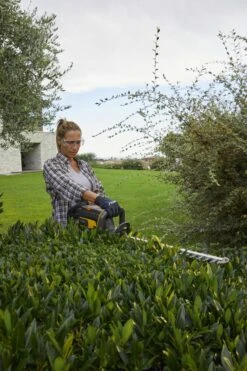 Stiga HT 700e Accu Heggenschaar Body - 56cm - 34mm -Gereedschapswinkel cff7c6dab2bfae4178513e0c0a7e9b57