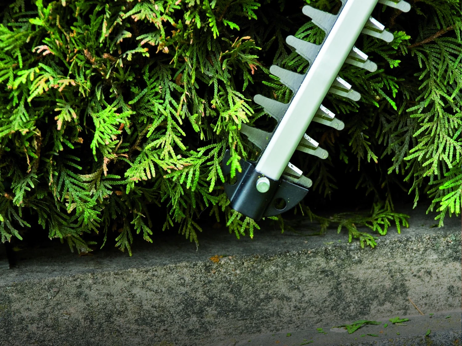 Einhell GE-CH 1846 Li SOLO Accu Heggenschaar - 18V - 520mm - Body - 3410642 10 Einhell GE-CH 1846 Li SOLO Accu Heggenschaar - 18V - 520mm - Body - 3410642 - Afbeelding 10