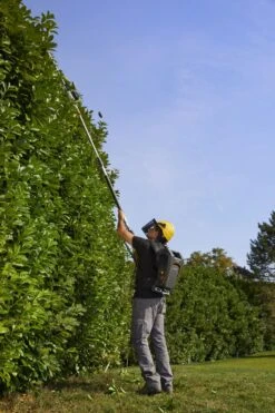 Stiga PH 900e Accu Heggenschaar Body Op Steel - 50cm - 34mm - Telescopisch -Gereedschapswinkel f701098bd23dbb7cd4add1f5f6b35d0a